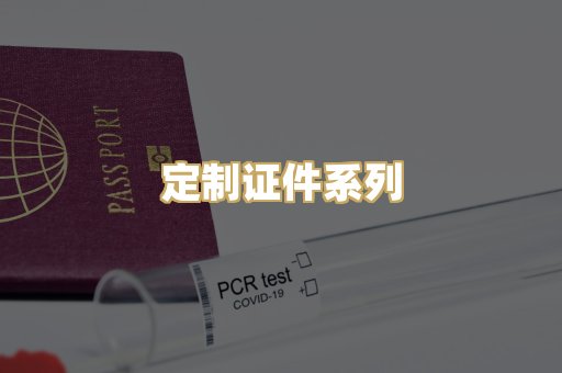 定制证件系列